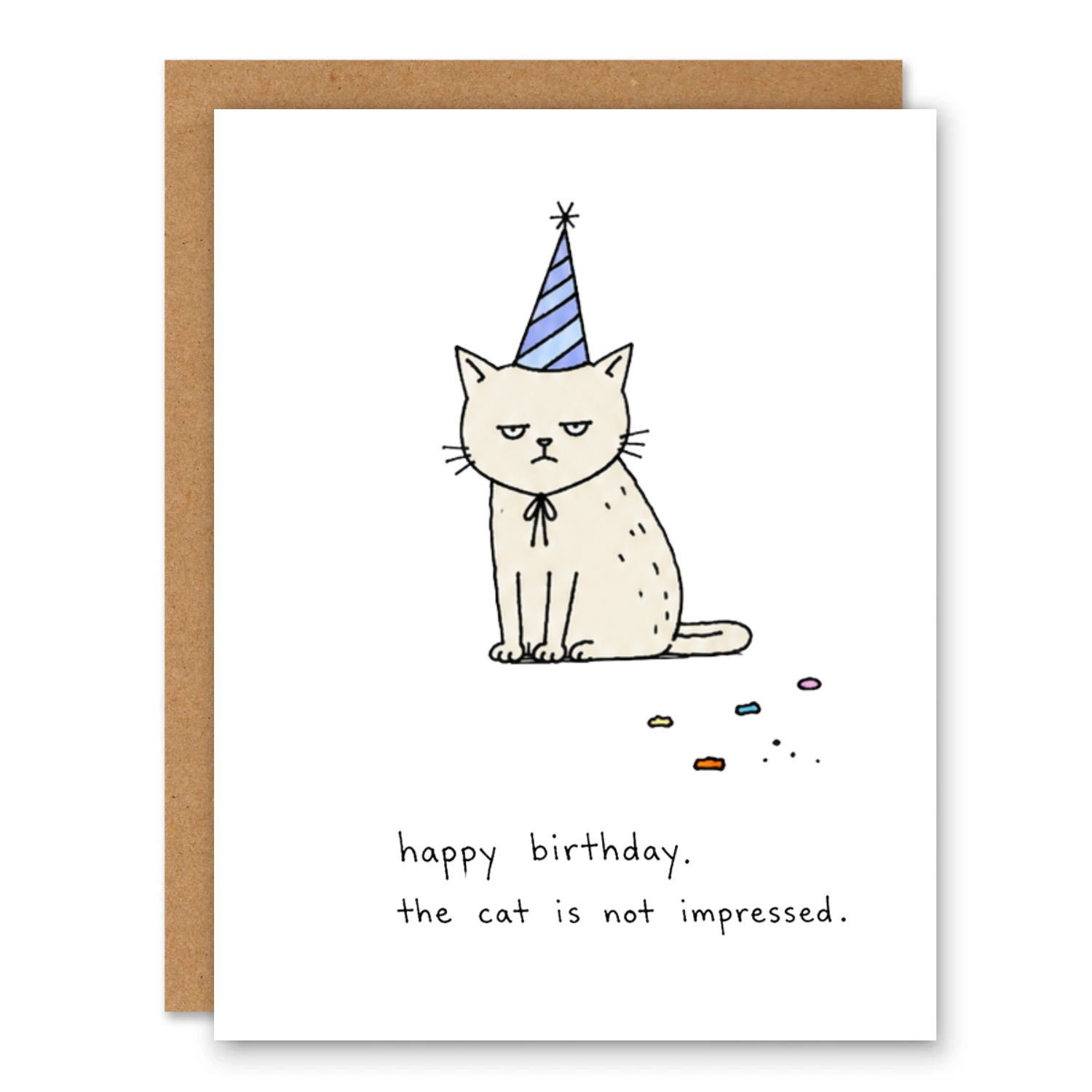 Funny Cat Birthday Card | The Cat Is Not Impressed