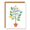 You’re Growing on Me Card showing a potted plant with leaves growing around the hand-lettered message with front cover text: You’re growing on me